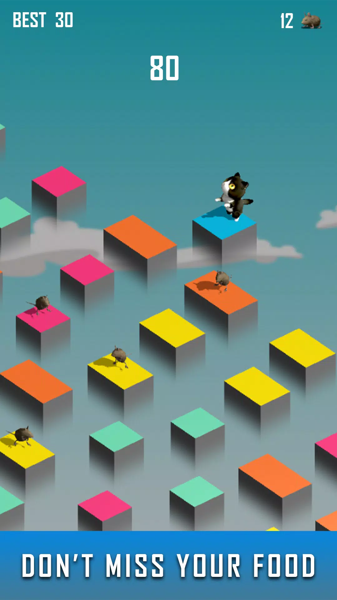 Zara猫-本月游戏