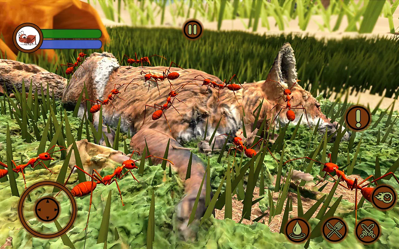 木匠蚂蚁昆虫游戏 木匠蚂蚁昆虫游戏