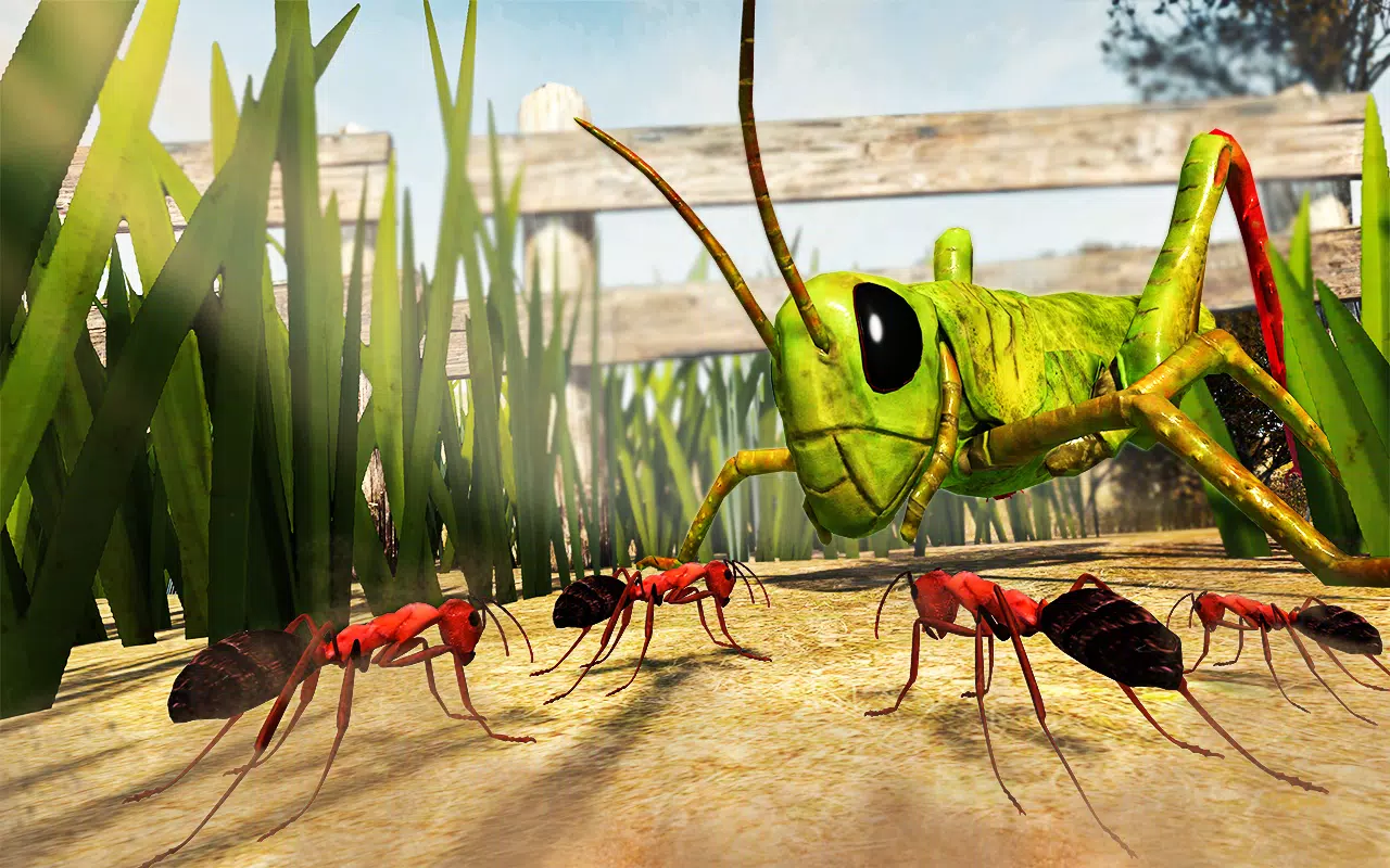 木匠蚂蚁昆虫游戏 木匠蚂蚁昆虫游戏