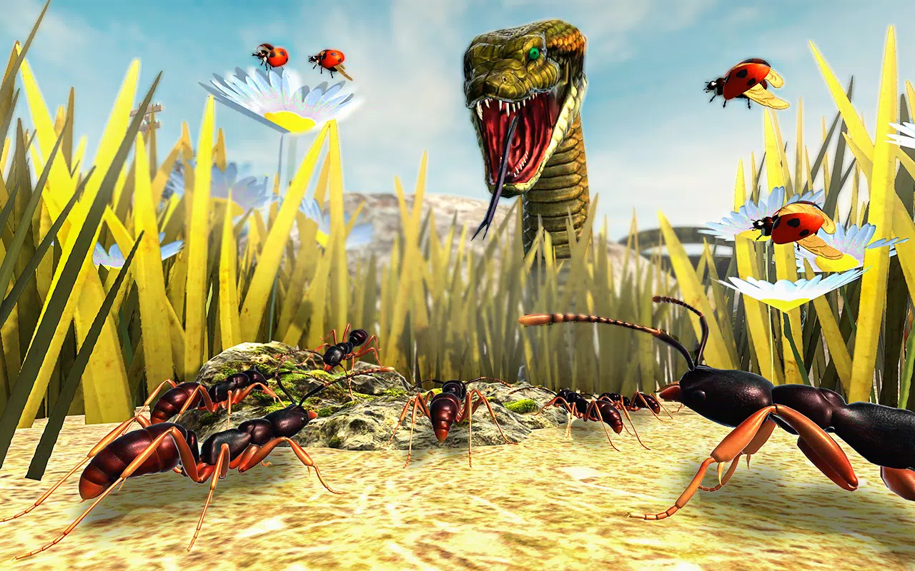 木匠蚂蚁昆虫游戏 木匠蚂蚁昆虫游戏