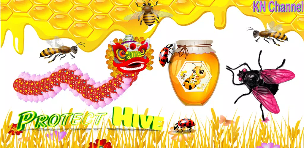 保护蜂巢KN通道 保护蜂巢KN通道