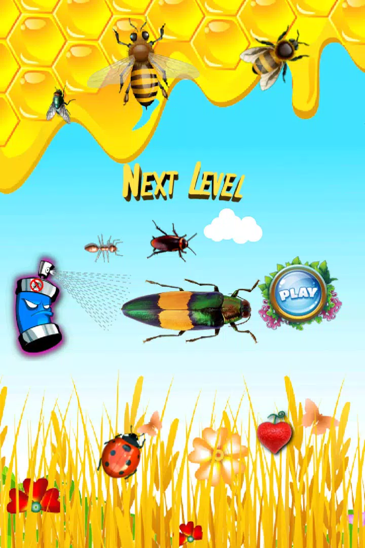 保护蜂巢KN通道 保护蜂巢KN通道