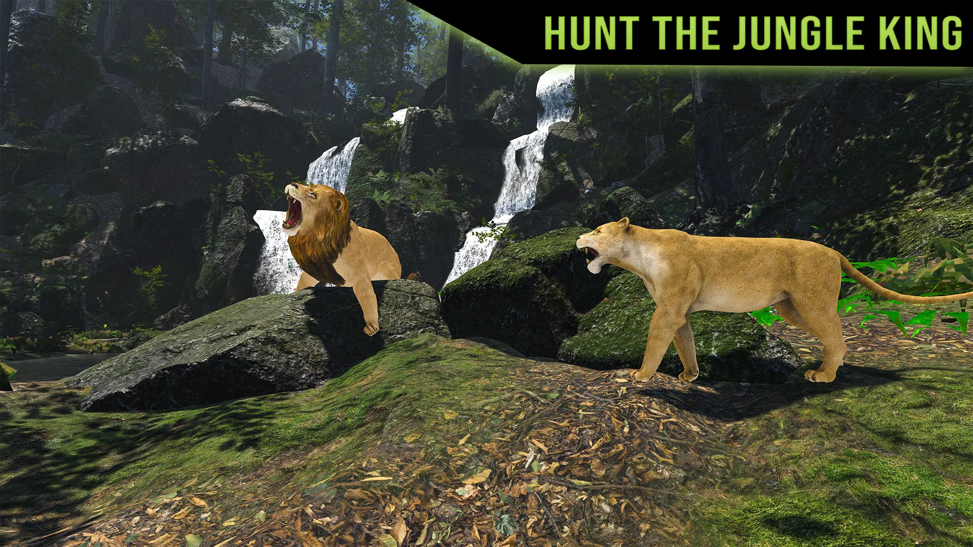 猎鹿冲突：鹿游戏