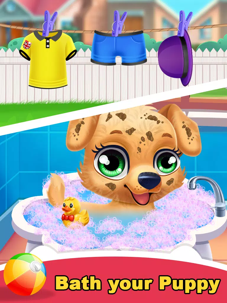 拉布拉多小狗宠物沙龙护理 拉布拉多小狗宠物沙龙护理