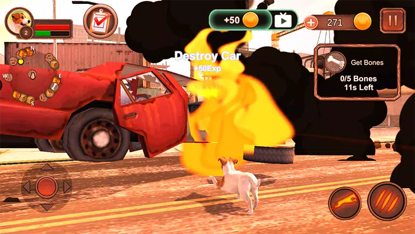 杰克罗素梗模拟器 杰克罗素梗模拟器