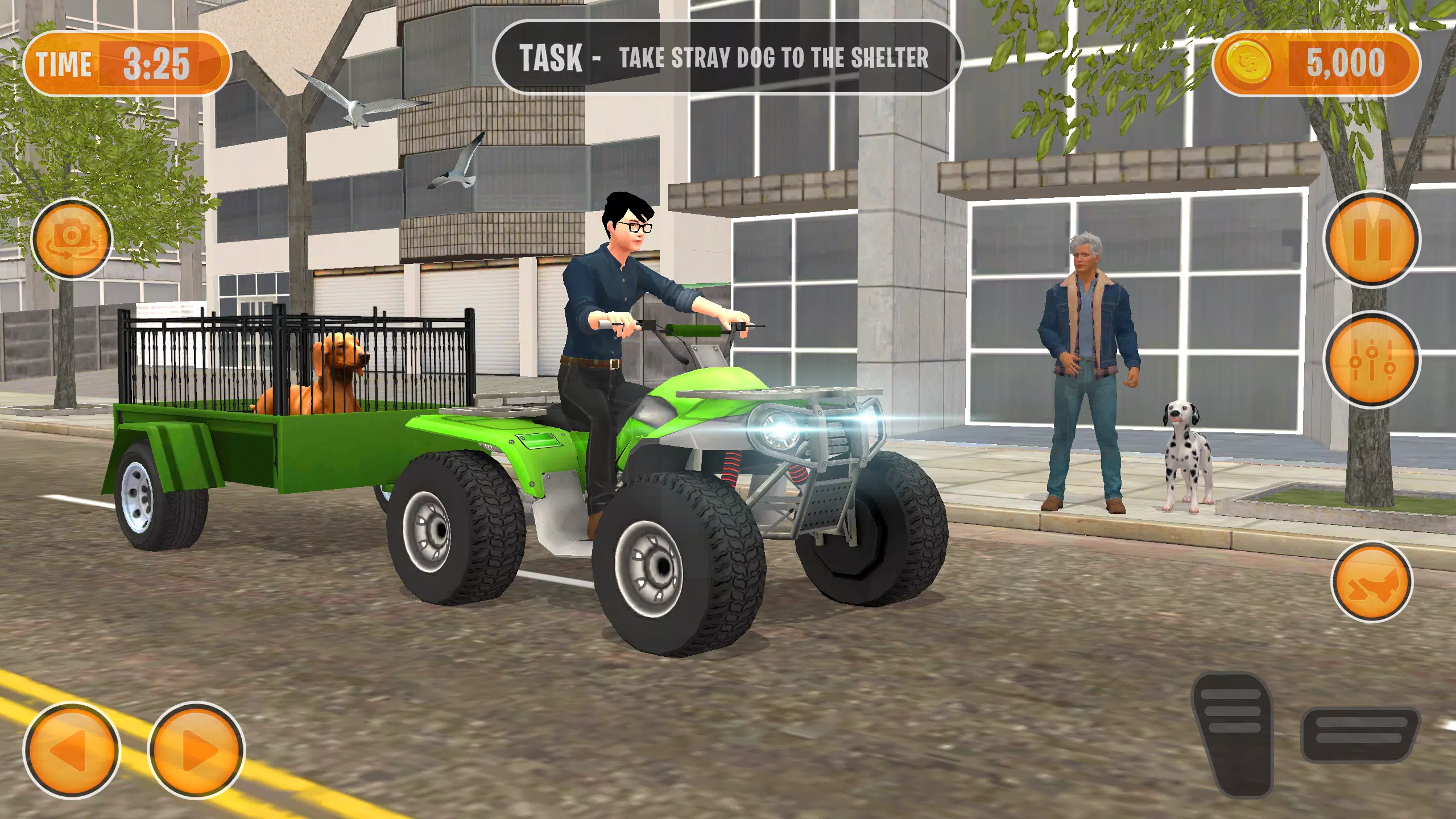 动物收容所宠物狗救援