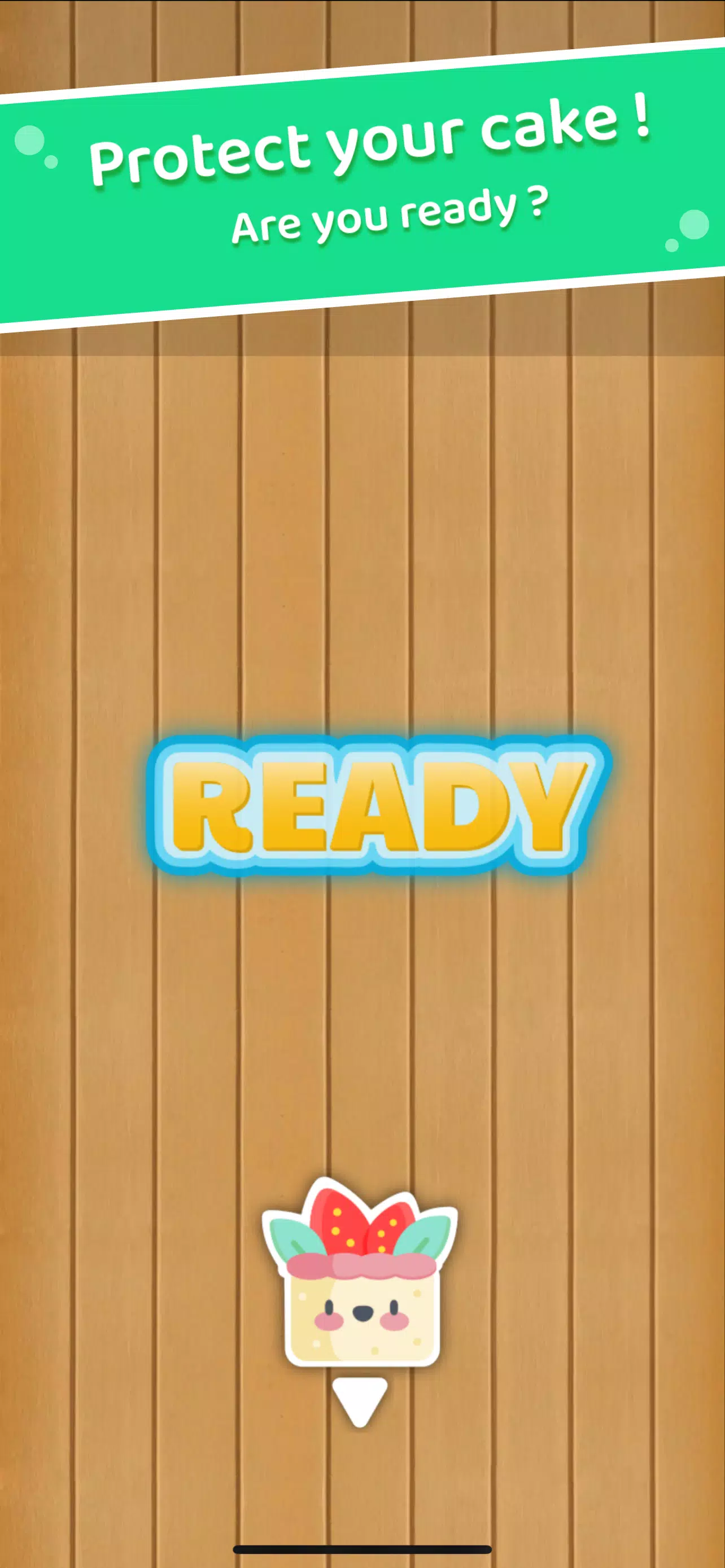 Bug Smasher Bug Smasher