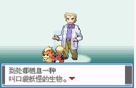 口袋妖怪-最终的火红