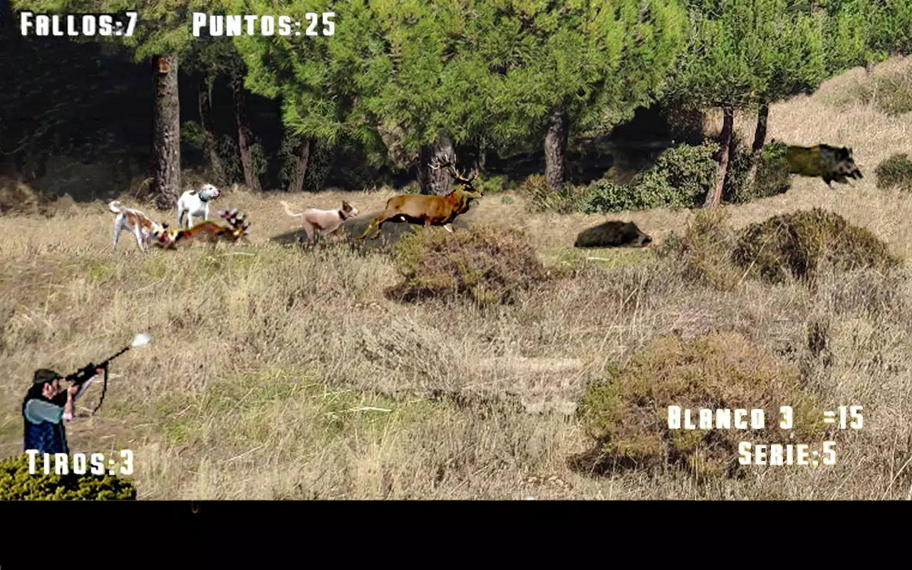 猎狗猎鹿 猎狗猎鹿