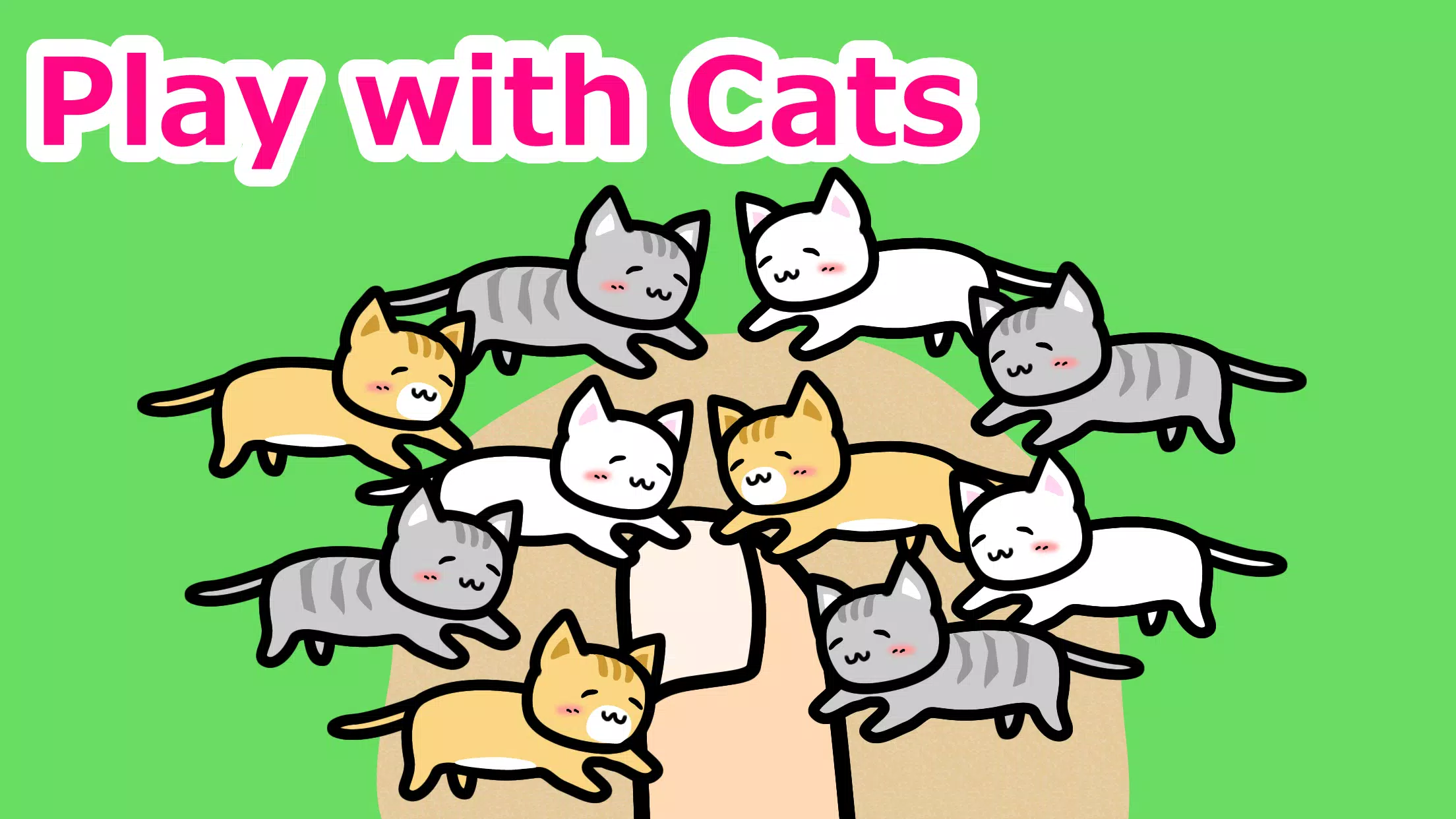 与猫玩耍 与猫玩耍