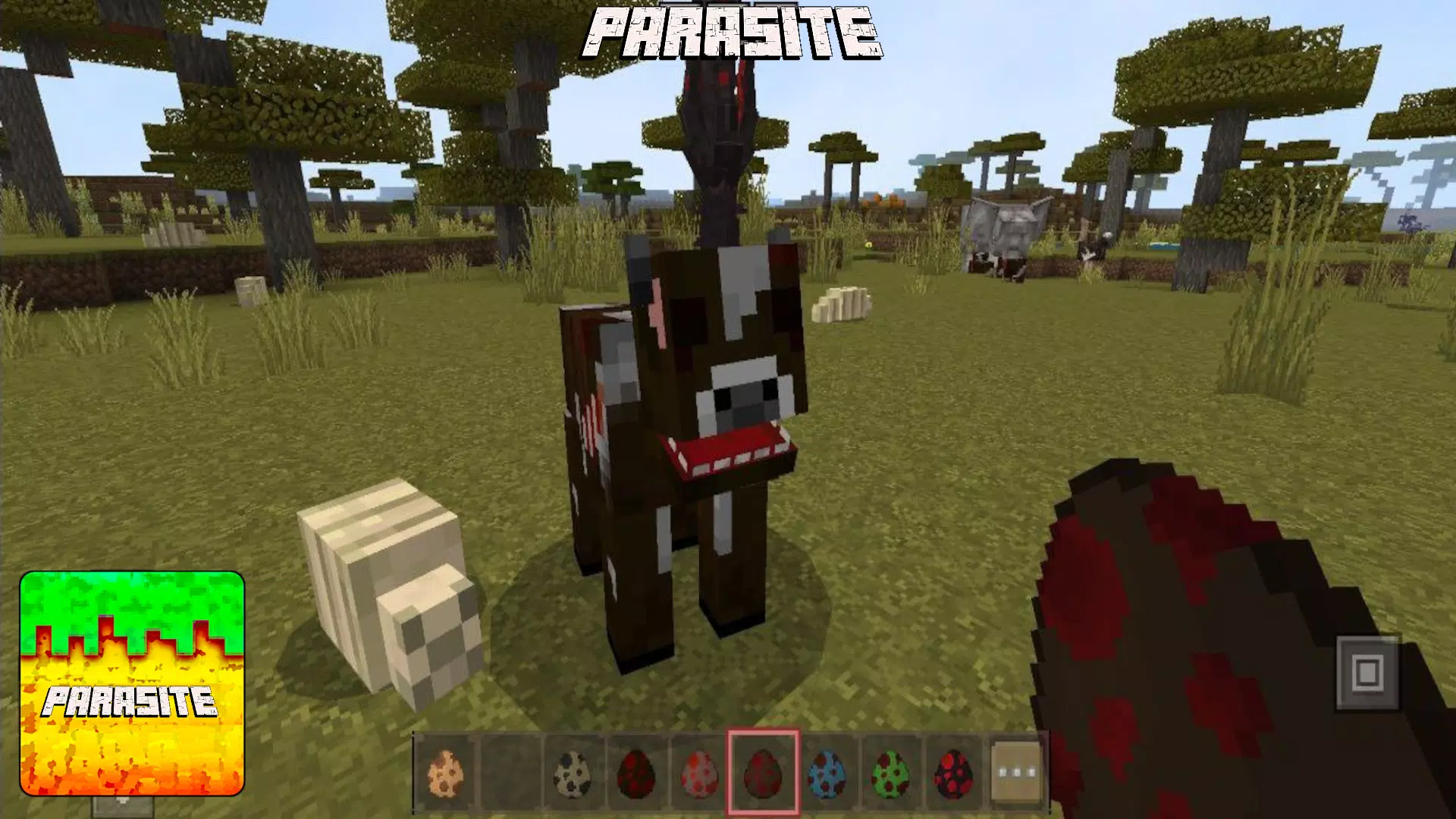 感染寄生虫的启示 感染寄生虫的启示