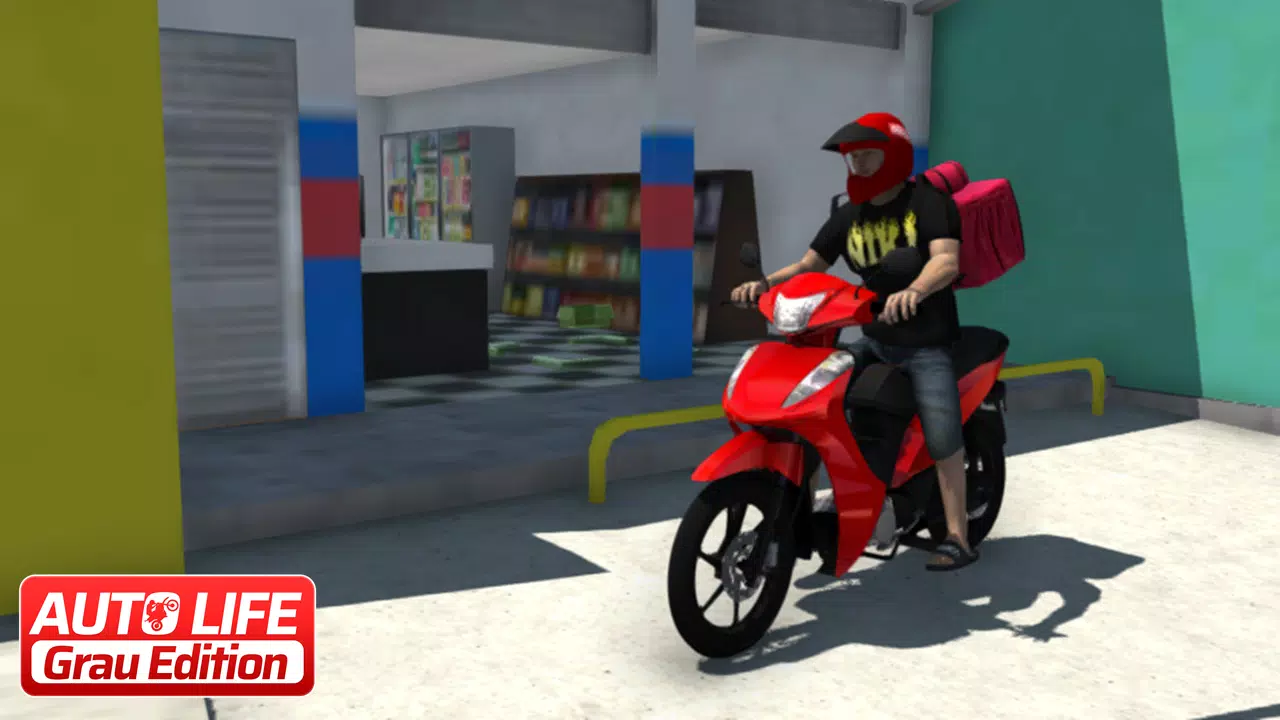 Auto Life I Grau Edition Auto Life I Grau Edition