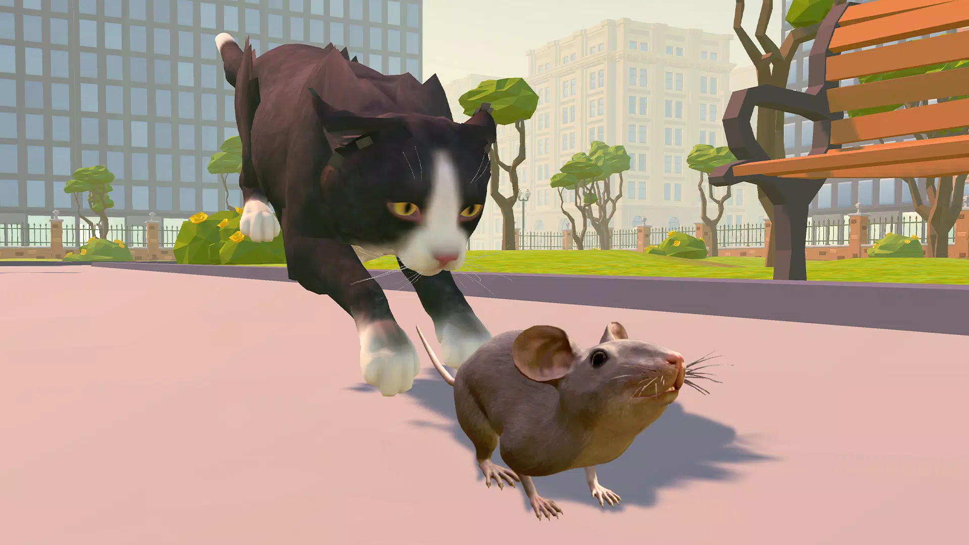 猫咪生活模拟器：城市公园