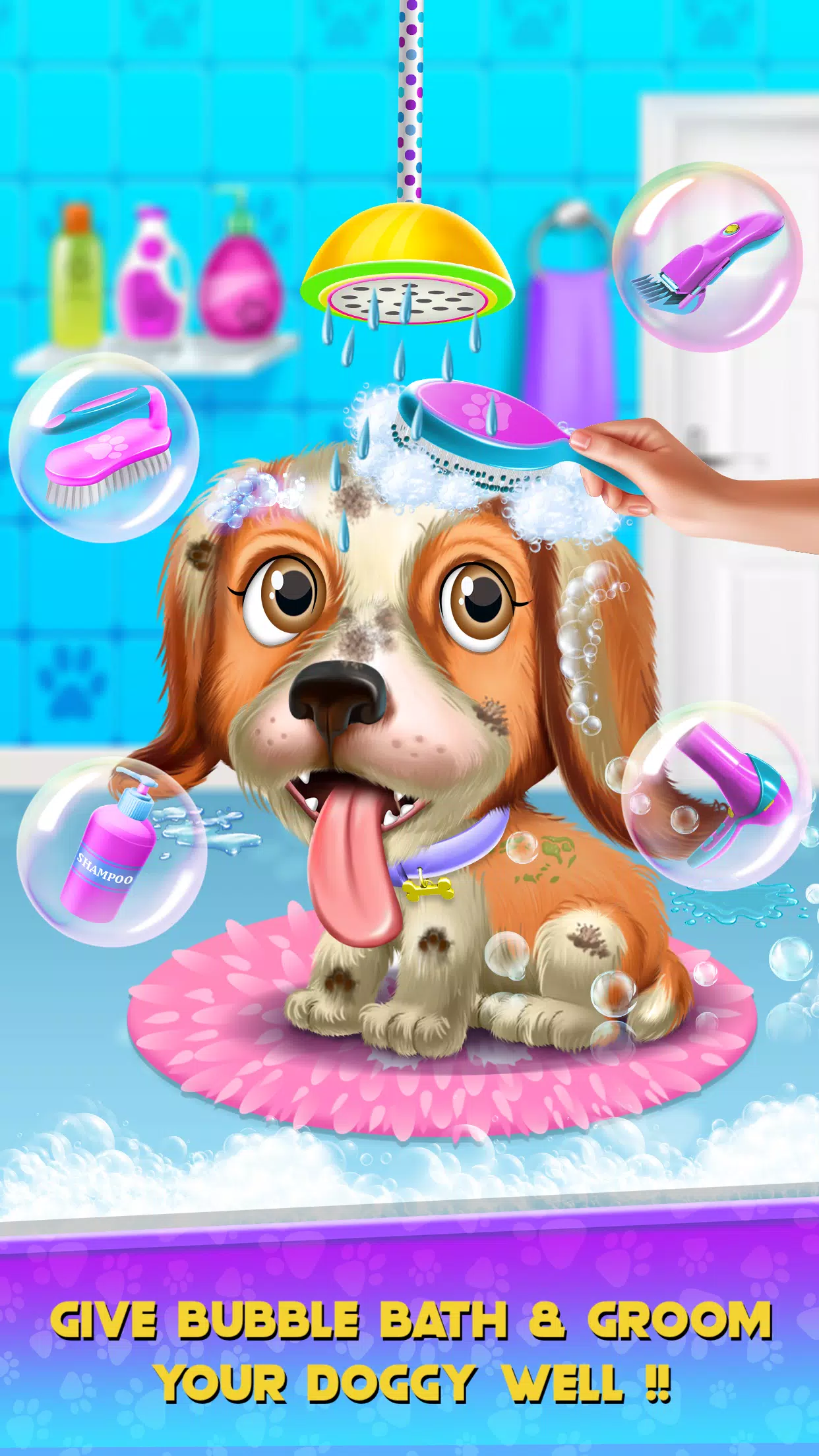 小狗朋友-宠物狗沙龙