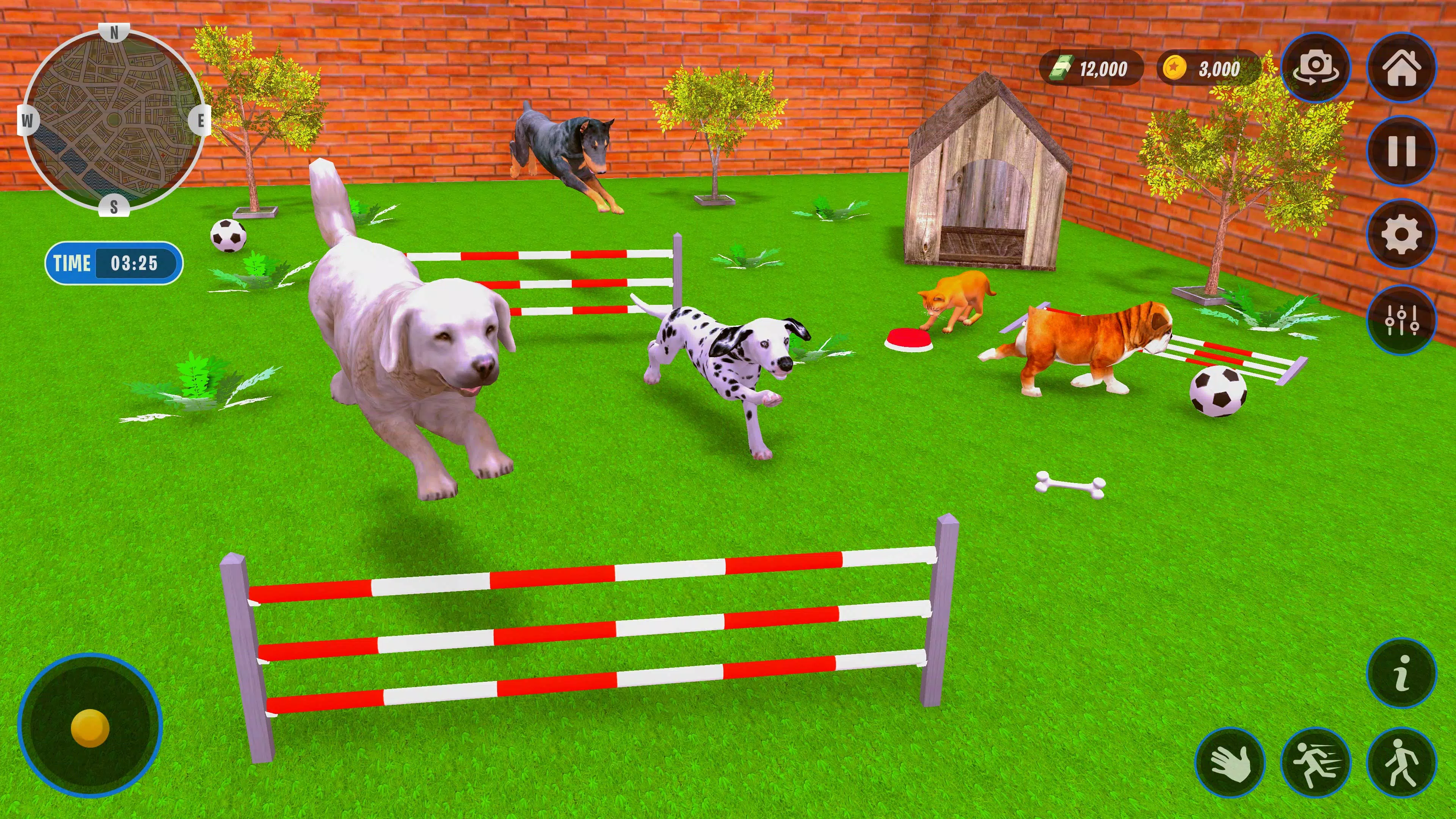 动物收容所狗狗救援模拟游戏