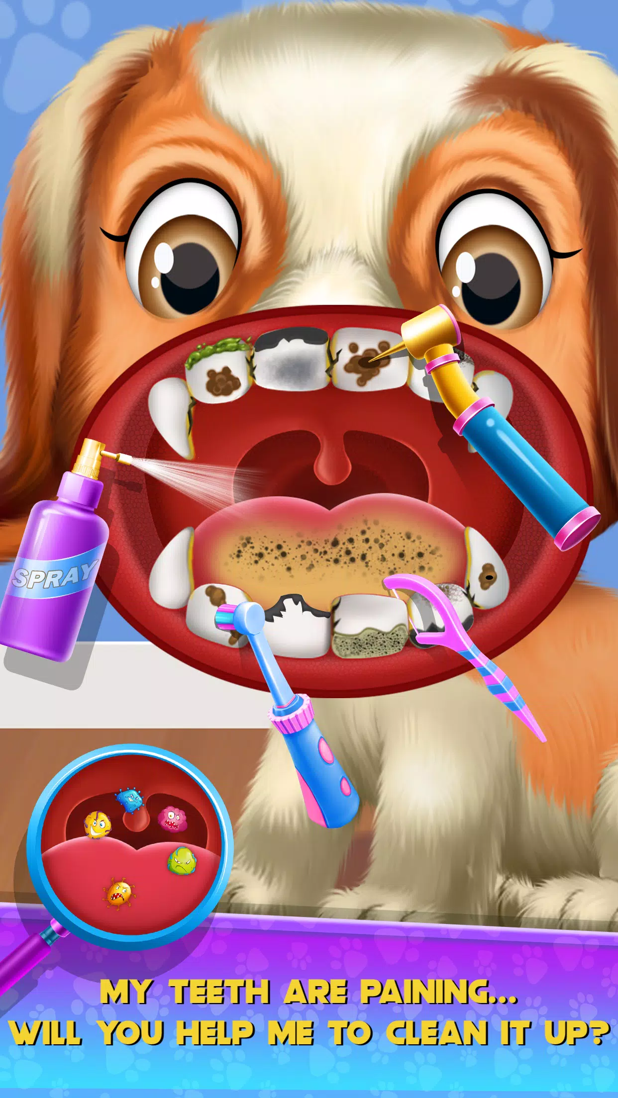 小狗朋友-宠物狗沙龙