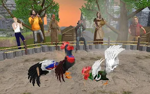 农场斗鸡2