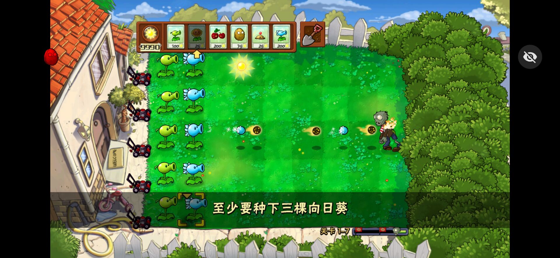 植物大战僵尸活死人之园