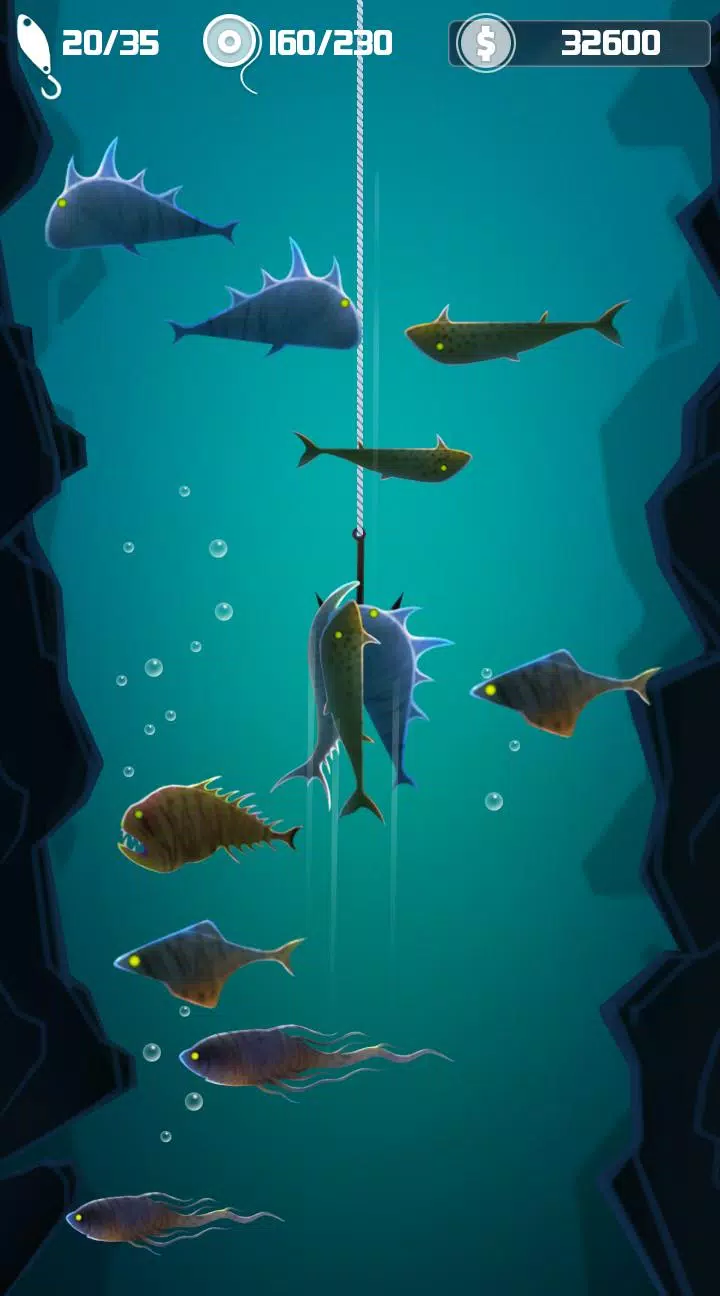 寻找超级大鱼 寻找超级大鱼