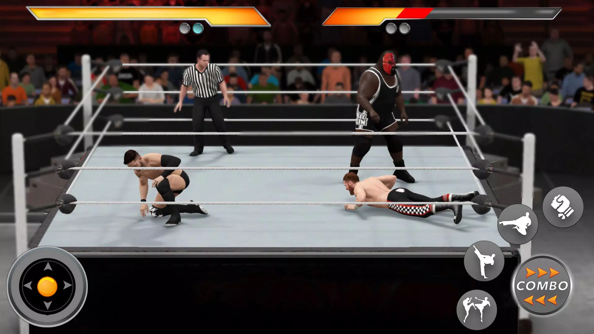 真正的摔跤竞技场 真正的摔跤竞技场