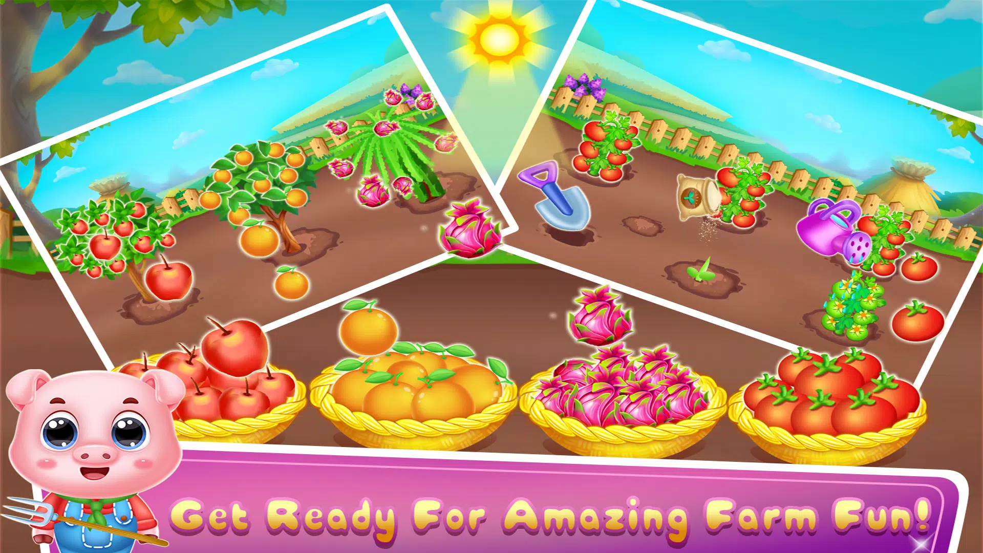 城里的小猪宝宝生活 城里的小猪宝宝生活