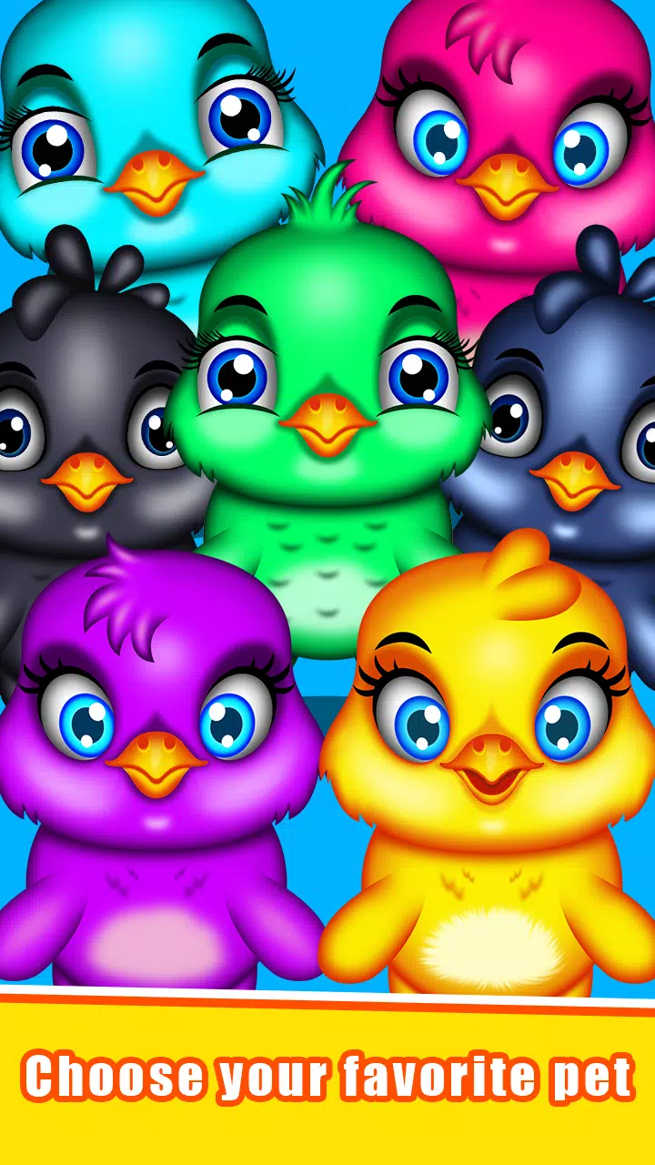 鸡肉护理和日托 鸡肉护理和日托