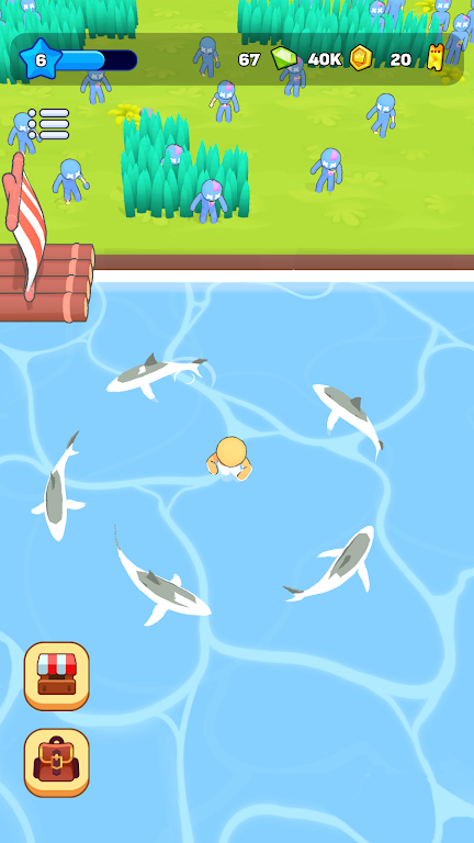 岛屿探索 岛屿探索