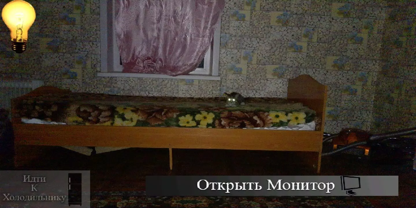 五夜与刺猬 五夜与刺猬