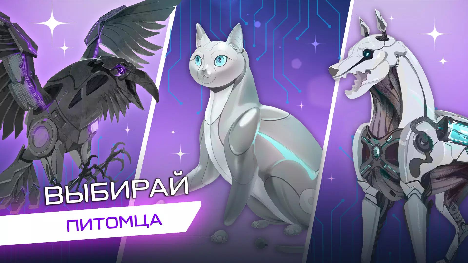 网络爱情故事-你的选择