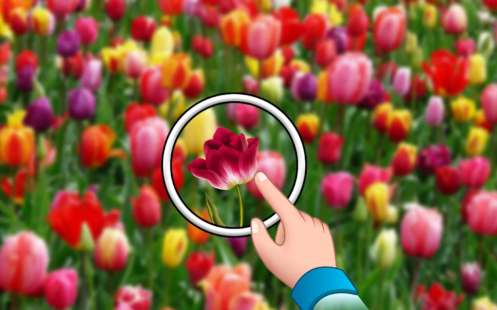 找出来 - 隐藏的花朵 找出来 - 隐藏的花朵