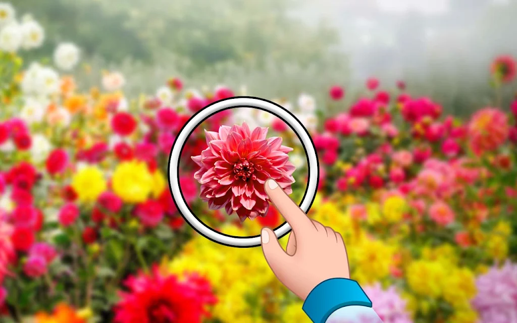 找出来 - 隐藏的花朵 找出来 - 隐藏的花朵