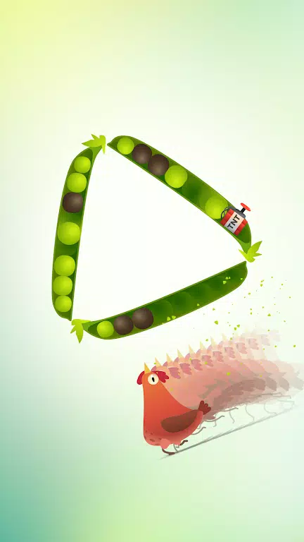 Pigeon Pop Pigeon Pop