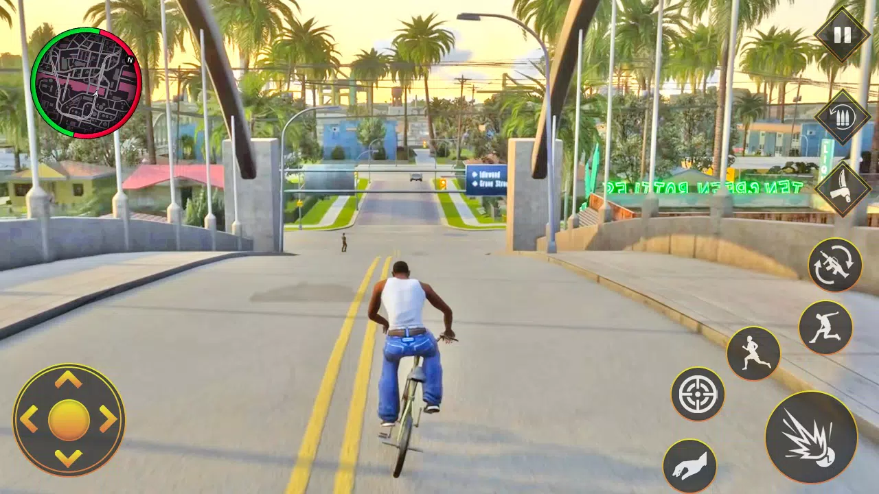 黑社会盗窃拉斯维加斯城3D 黑社会盗窃拉斯维加斯城3D