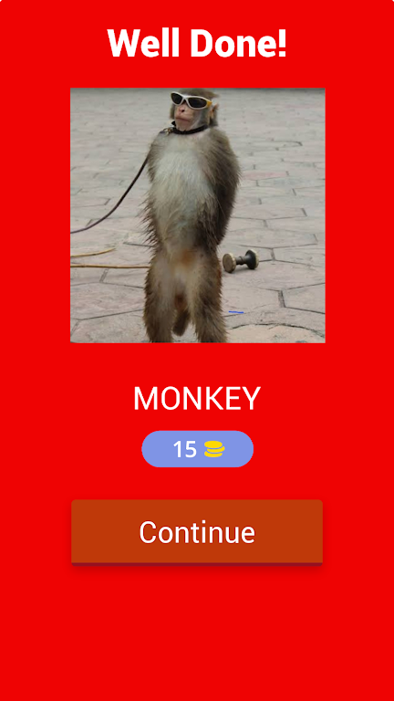 图片英语拼写 图片英语拼写