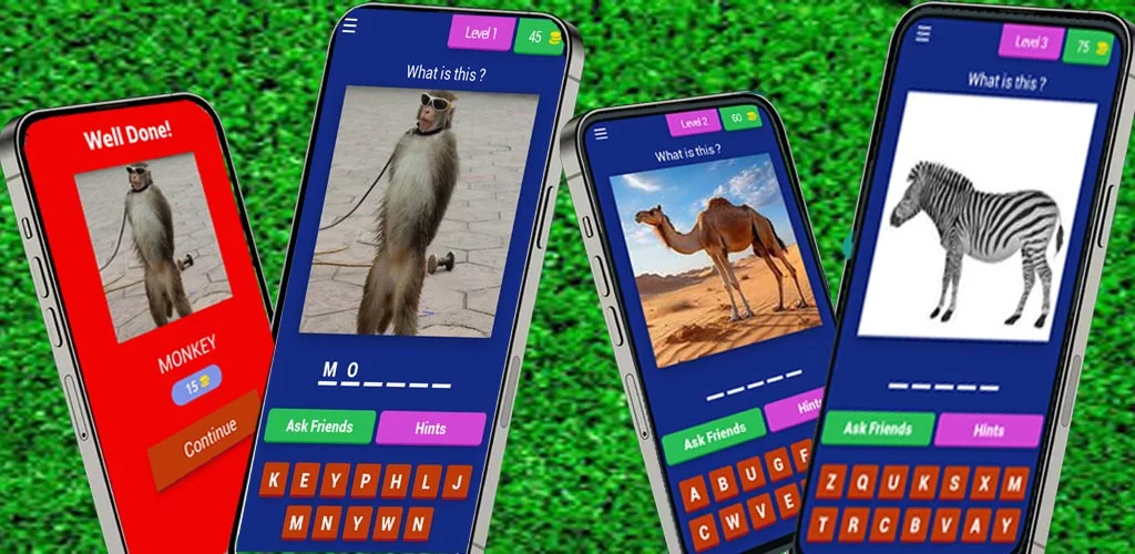 图片英语拼写 图片英语拼写