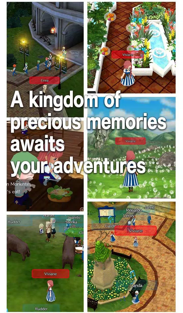 WorldNeverland，Elnea王国