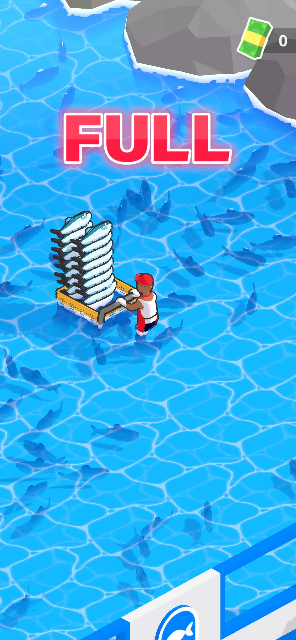 CatchN’Sell湾 CatchN’Sell湾