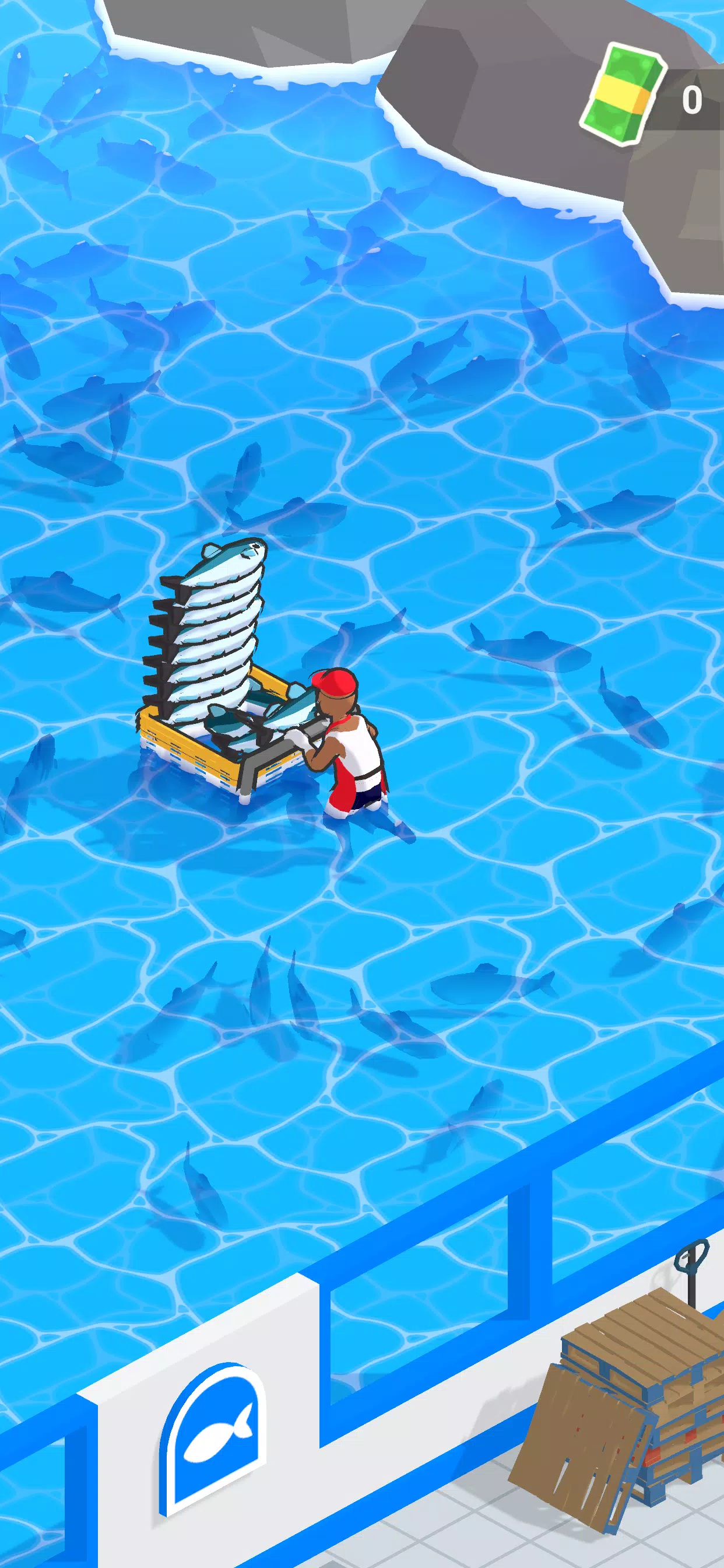 CatchN’Sell湾 CatchN’Sell湾