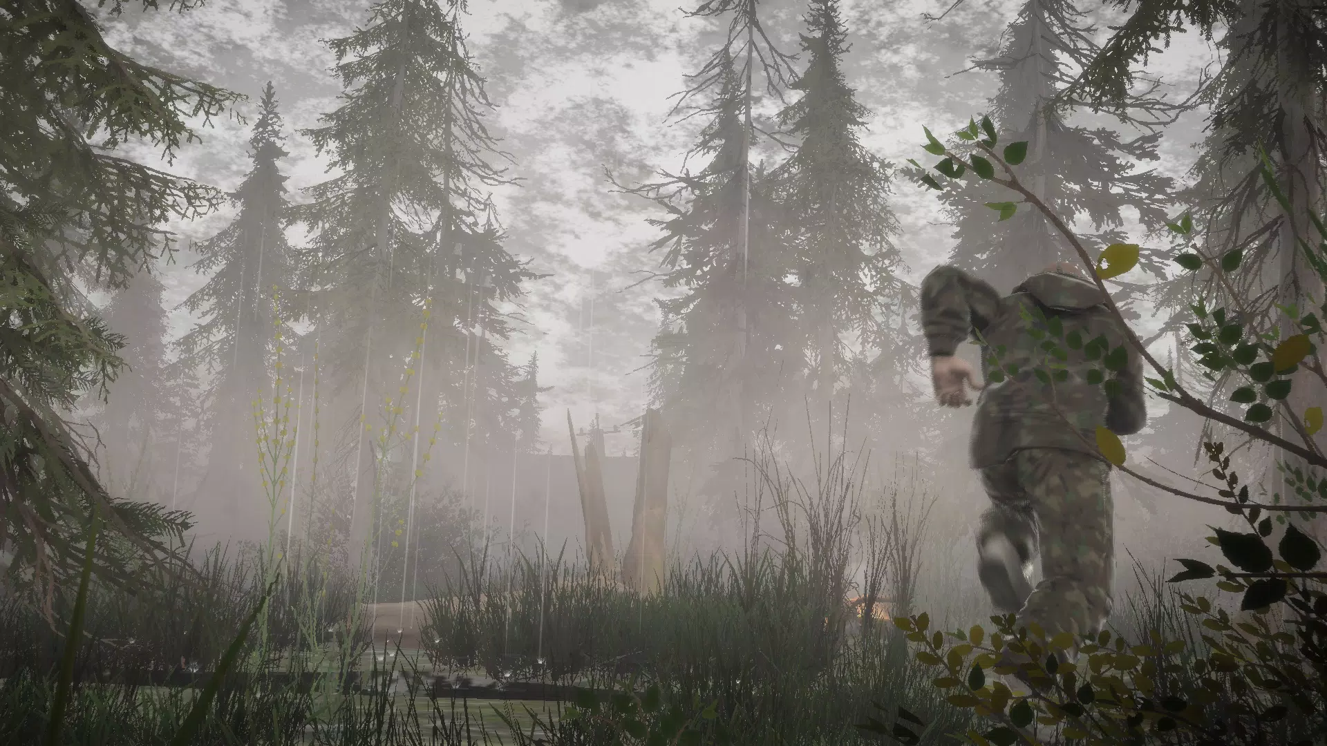 TDZ 3:跟踪者的黑暗之路 TDZ 3:跟踪者的黑暗之路