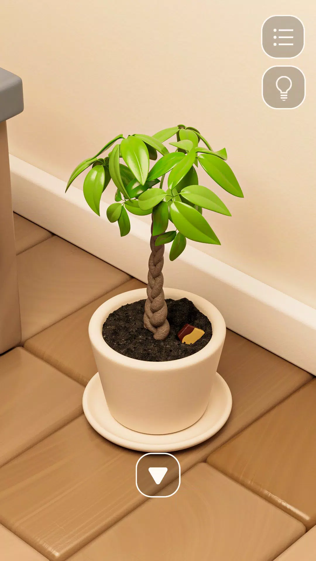 布丁与猫之家 布丁与猫之家