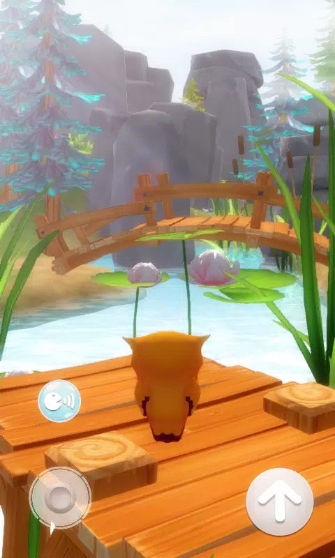 我会说话的猫头鹰 我会说话的猫头鹰