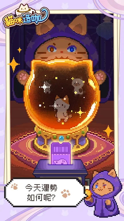 猫咪造咖 猫咪造咖