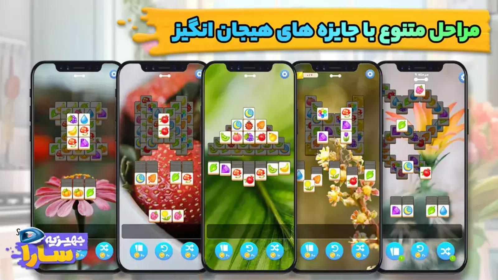 萨拉的奖品。 萨拉的奖品。