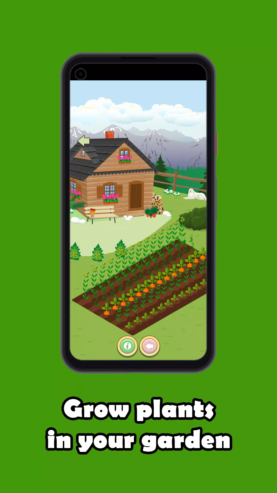 我的龙猫 我的龙猫