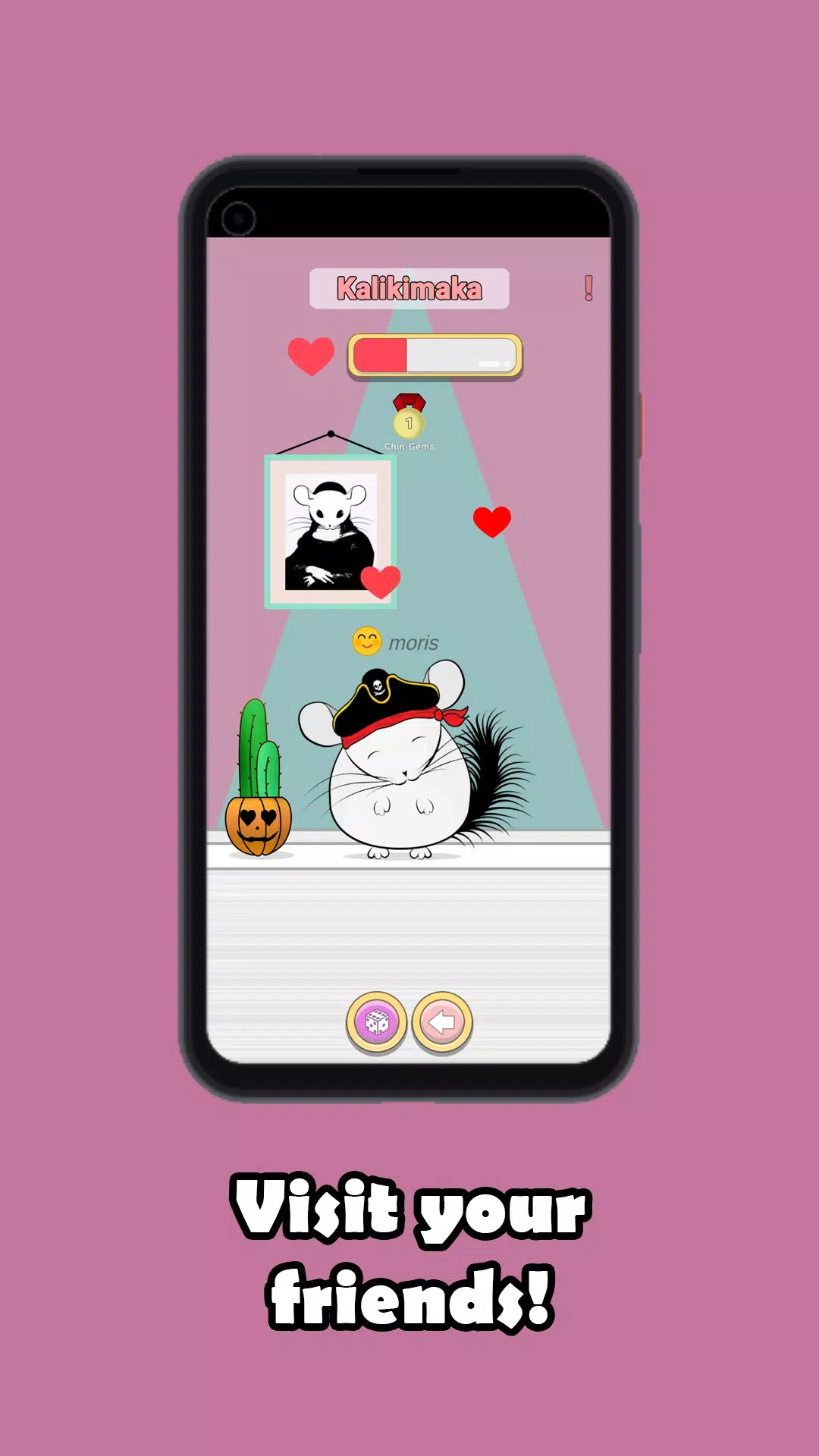 我的龙猫 我的龙猫