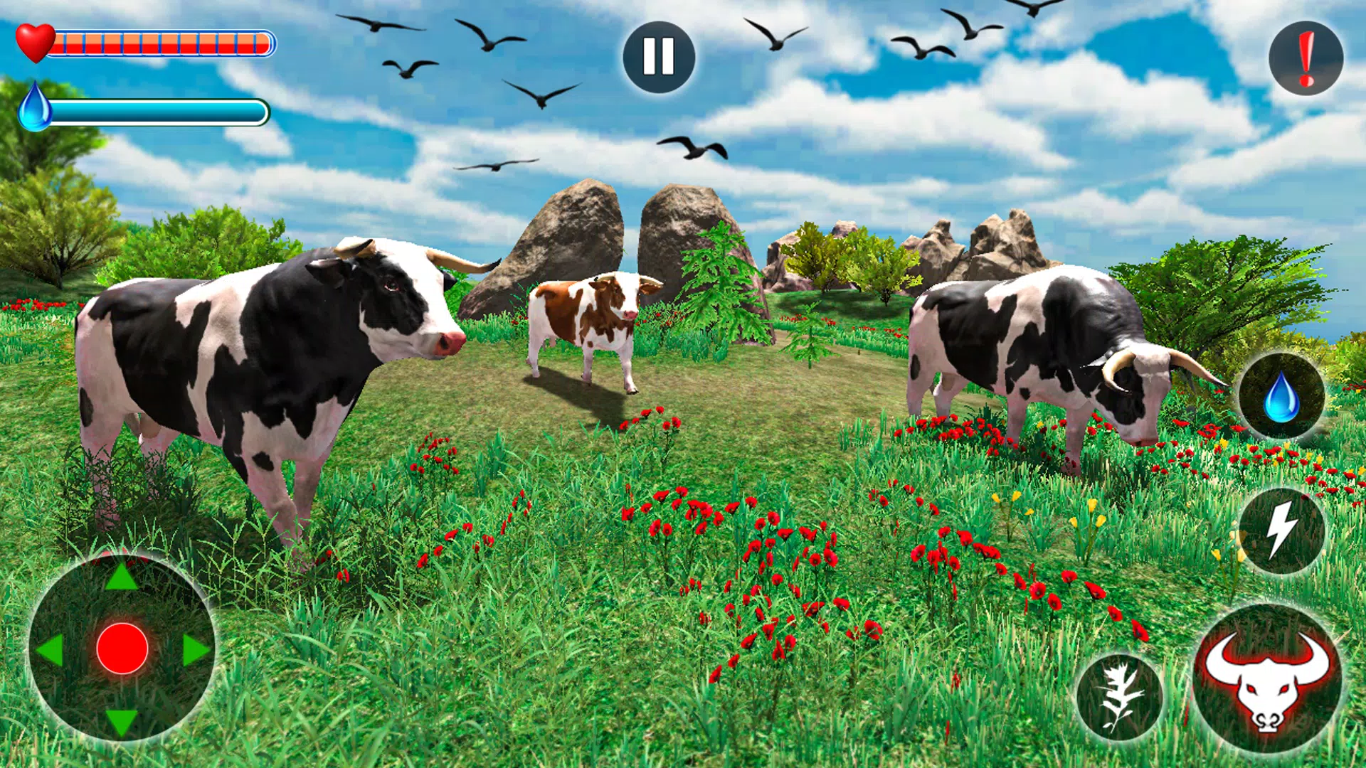 克里特牛和奶牛的攻击 克里特牛和奶牛的攻击