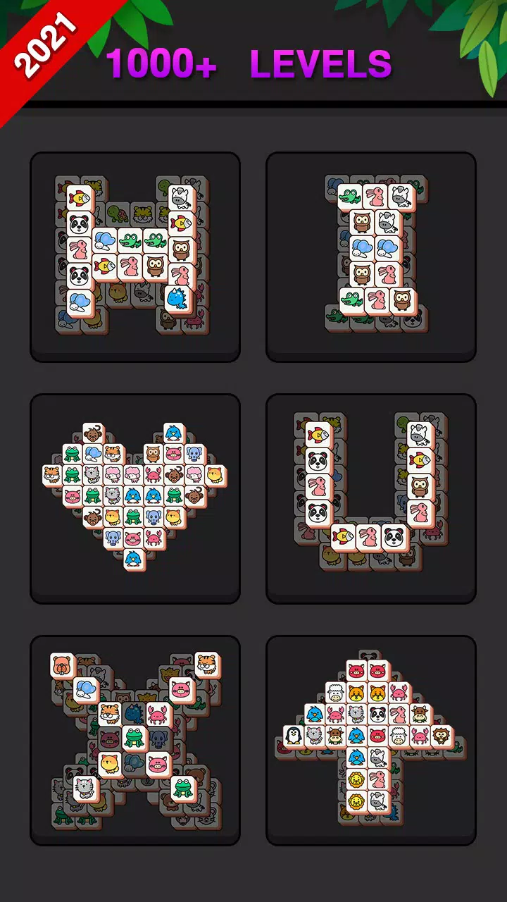 匹配大师 匹配大师