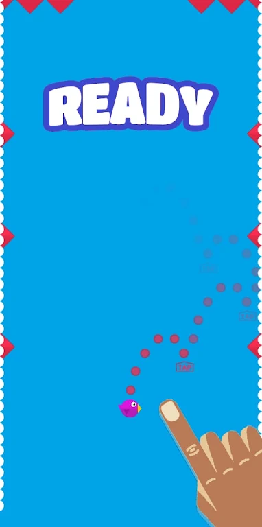 勇敢的小鸟 勇敢的小鸟