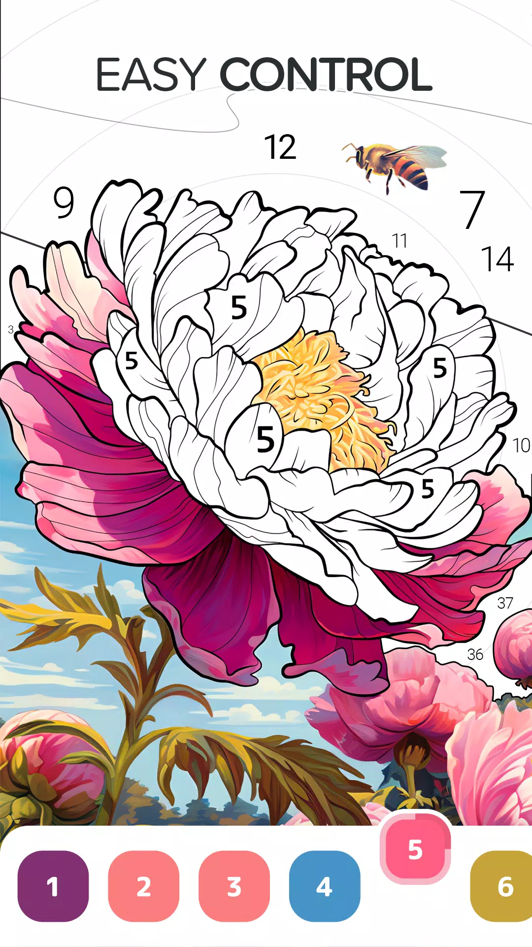 每天上色 每天上色