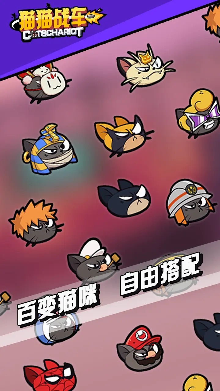 猫猫战车 猫猫战车